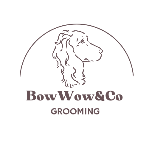 bow wow's dog grooming